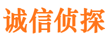 文圣寻人公司